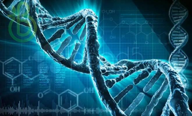 Методы генетических исследований: специфические и неспецифические